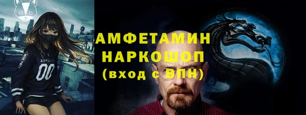 шишки Алексин