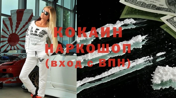 шишки Алексин