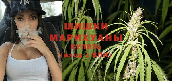 шишки Алексин