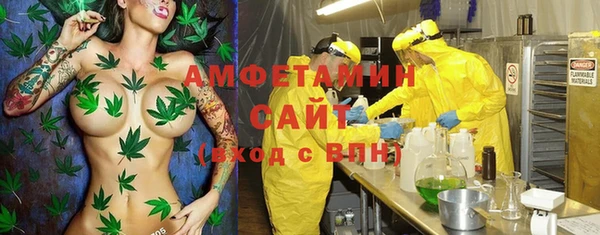 шишки Алексин