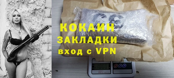 шишки Алзамай