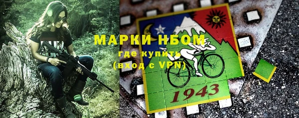 шишки Алексин
