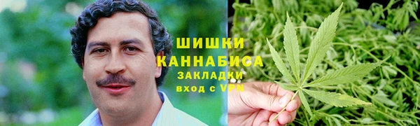 шишки Алексин